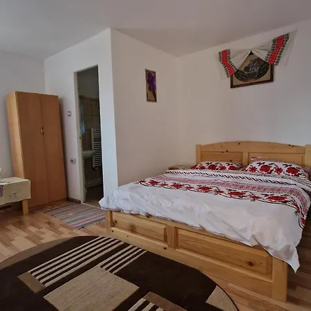 Casa De Vacanta Neagu *