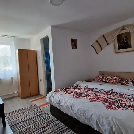 Casa De Vacanta Neagu Motel